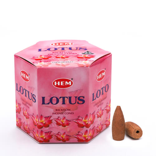 Lotus Backflow Cones
