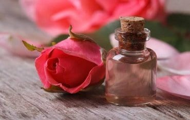 rose aroma oil for valentines day